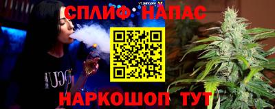 гашик Дубна