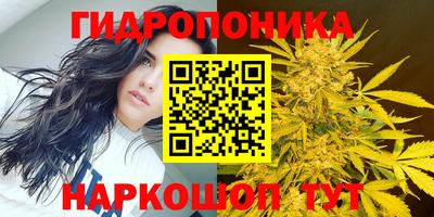 СК Донской