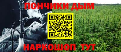 гашик Дубна