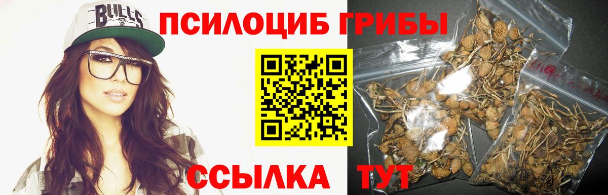 Псилоцибиновые грибы GOLDEN TEACHER  Вход с VPN  Конаково 